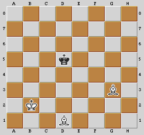 Esempio di finale con Re e 2 Alfieri contro Re