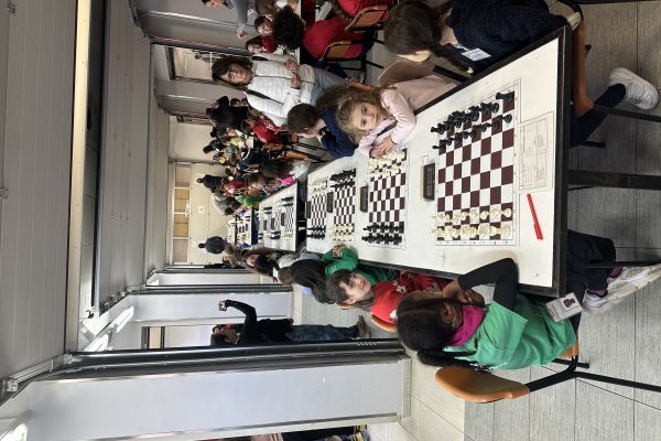 img-7360-2704CDD43-9130-A37D-EF6F-2523811D130B.jpg