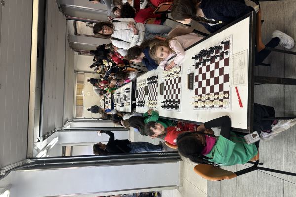 img-7361-273E486E6-BD07-5DA0-8641-751E313395FD.jpg
